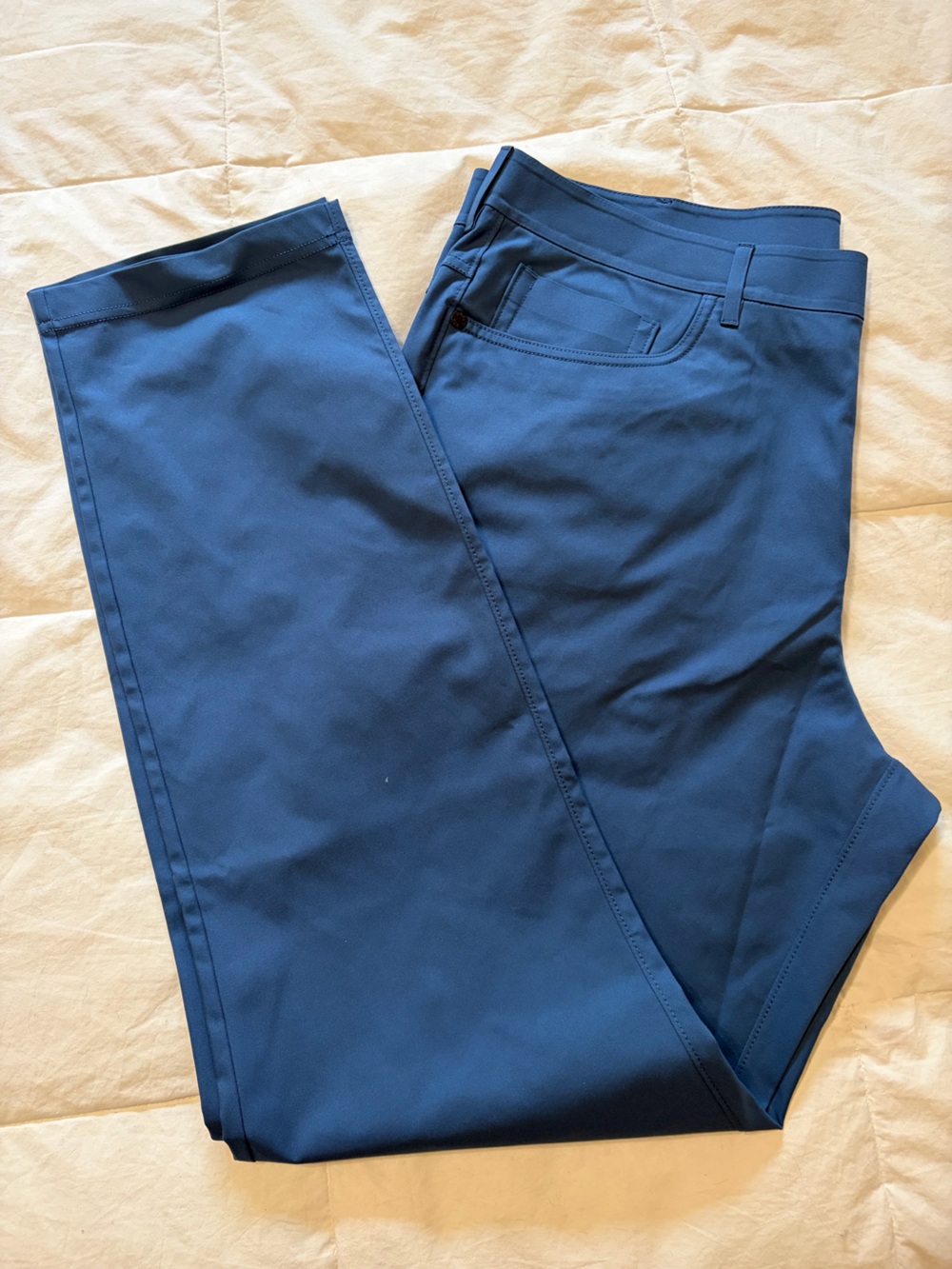 PUBLIC REC- men’s size 38 Workday Pants